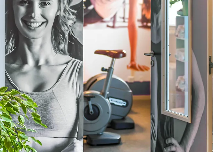 Hotel Ibis Styles Stade De La Meinau 3*