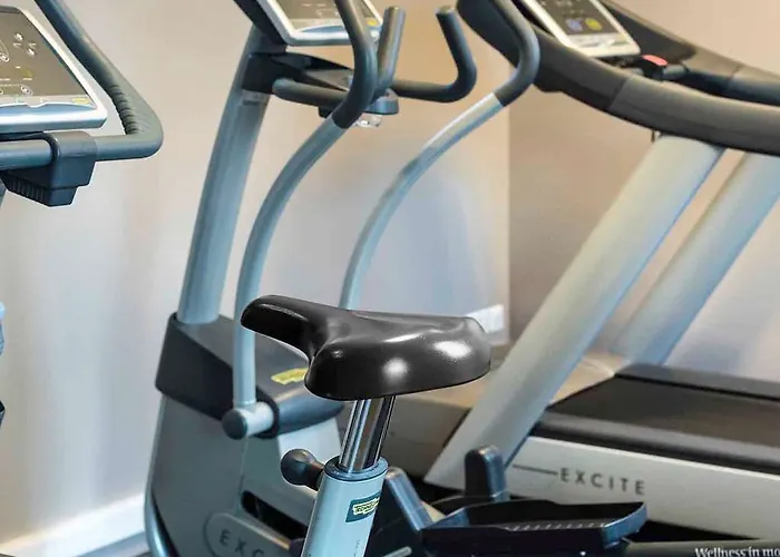 Ibis Styles Stade De La Meinau 3* Strasbourg