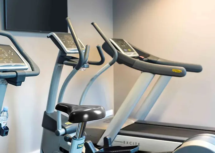 Ibis Styles Stade De La Meinau Hotel